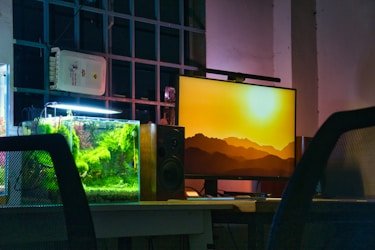 番茄短剧官网网页版入口合作伙伴 - 字节跳动